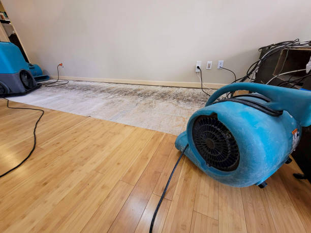Professional Water Damage Repair technician working in Anderson, SC